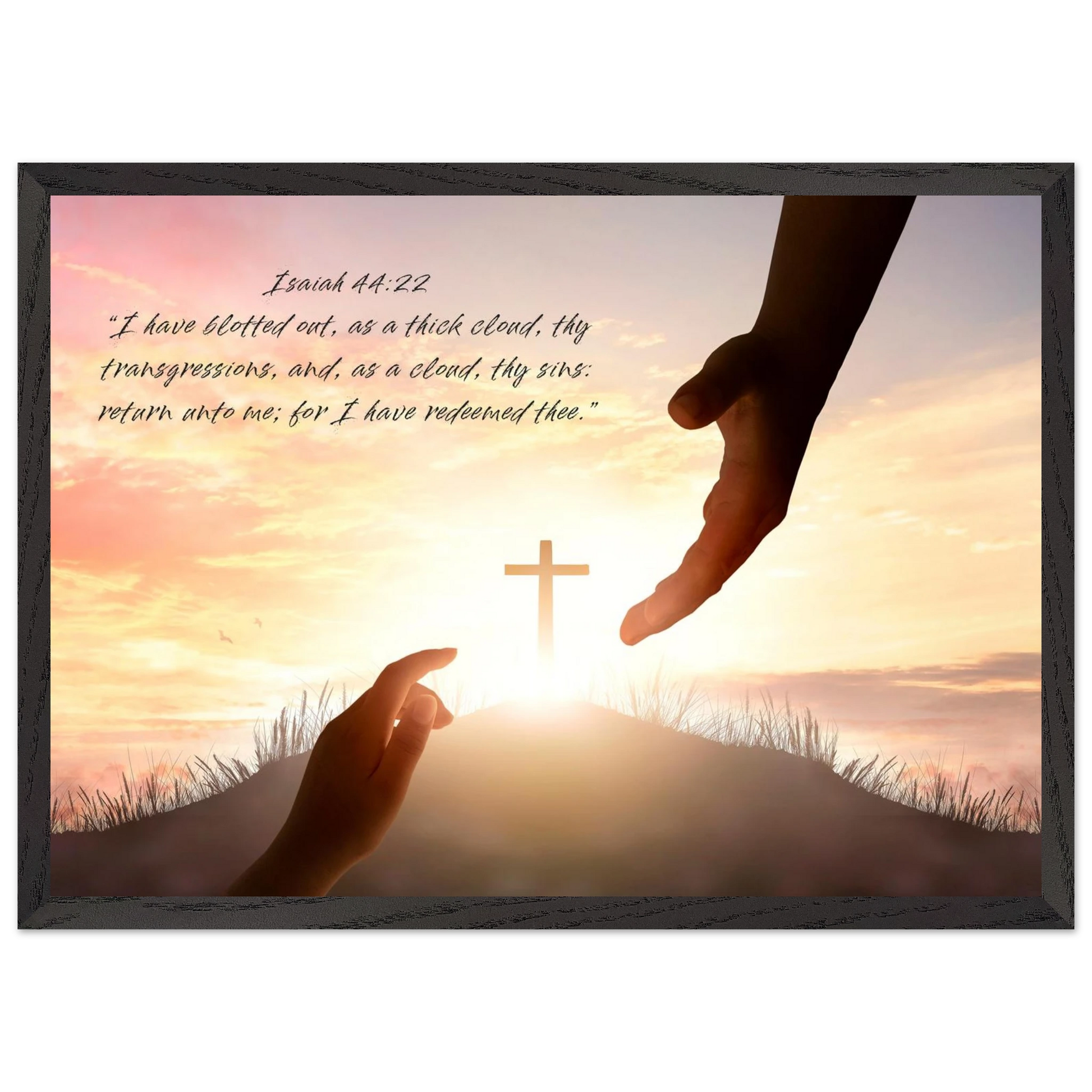 f3f90858-2cd0-4cad-a04b-2e78c9ea5b93